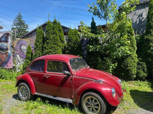 RARE PAINTED CLASSIC VWs – RUNNING ART ON WHEELS