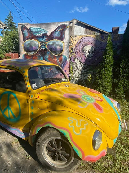 RARE PAINTED CLASSIC VWs – RUNNING ART ON WHEELS